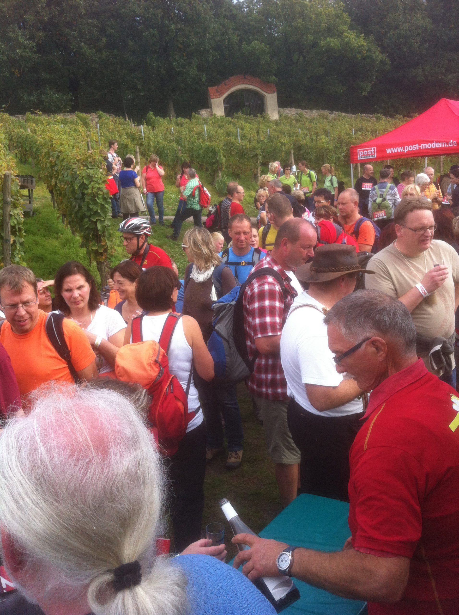 Elbtalweinlauf Schwalbennest Meissen