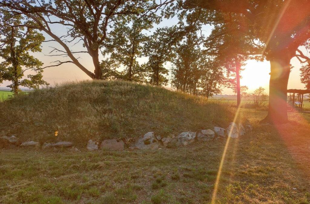 Hopfen, Wein und bronzezeitliche Einblicke