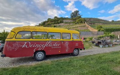 Zu Besuch im WeinReich von Katharina Lai
