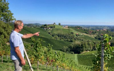 Weinreise in die Südsteiermark